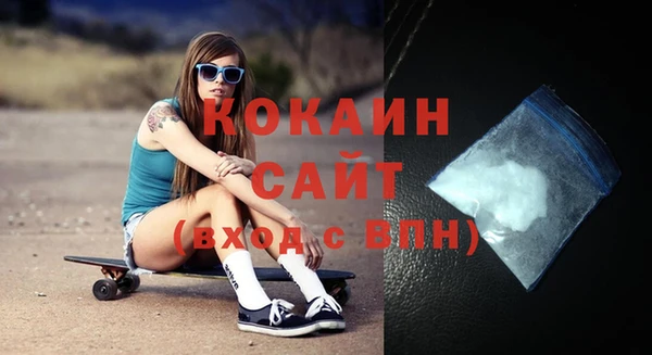 стаф Новозыбков