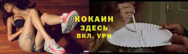 стаф Новозыбков