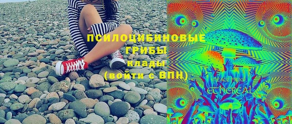 хмурый Абаза