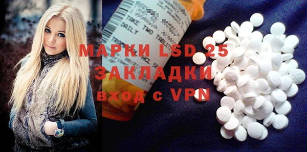 стаф Новозыбков