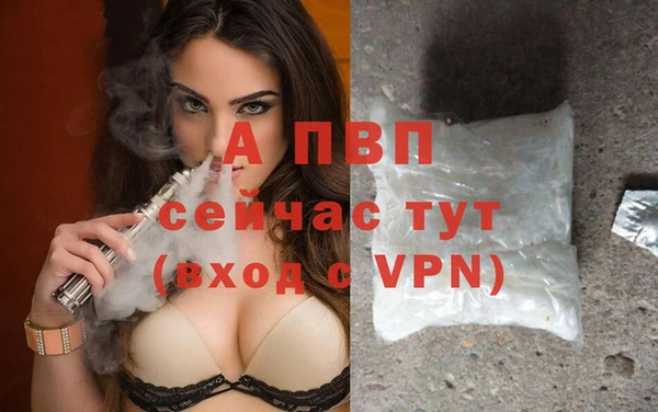 хмурый Абаза