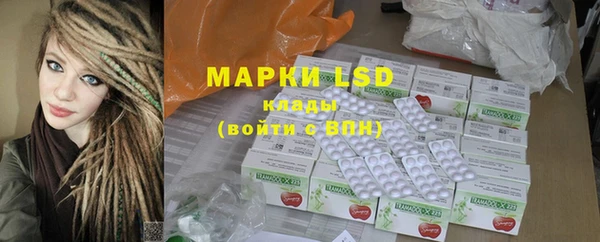 стаф Новозыбков