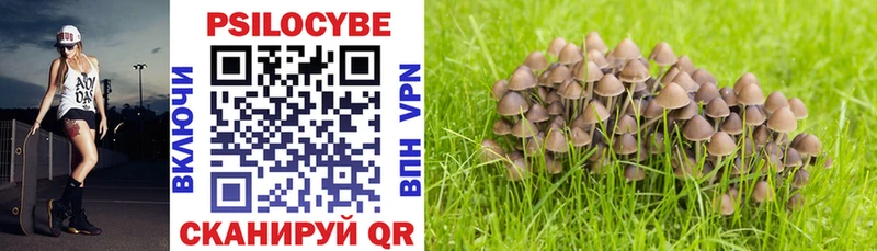 Галлюциногенные грибы Psilocybe  hydra маркетплейс  Сычёвка 